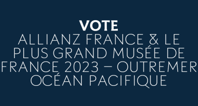 Le Plus Grand Musée de France vote nouvelle Calédonie